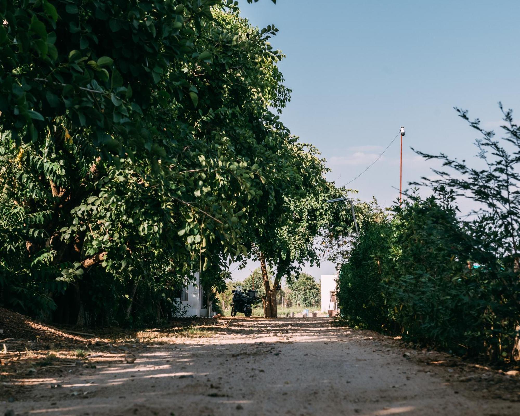 The Luxe Pushkar - A Luxury Farmstay In Pushkar Exterior foto